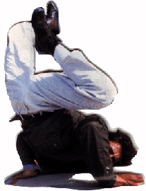 Uomo scaravoltato che fa delle strane evoluzioni!! Da VEDERE! (il Sig. Palanca)